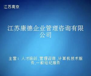 江蘇康德企業(yè)管理咨詢 專業(yè)驅動，賦能江蘇信息技術咨詢服務升級